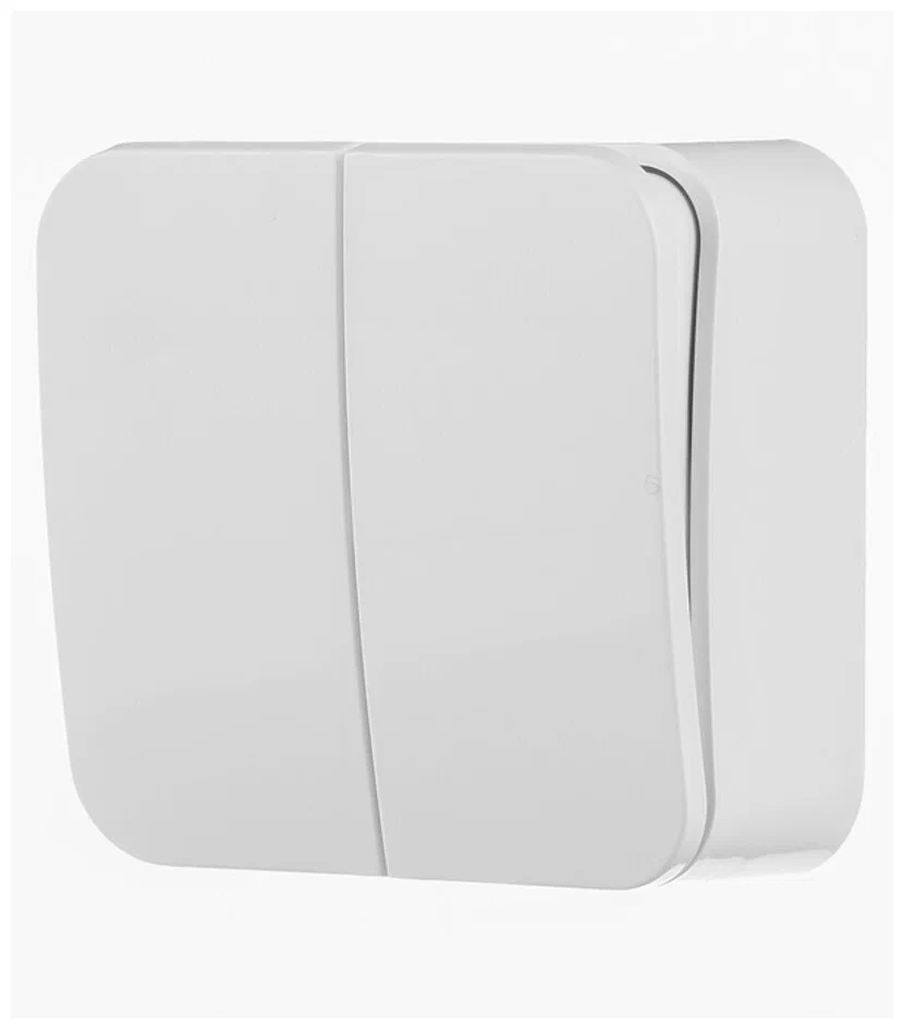 Выключатель 2-кл. ОП Blanca 6А IP20 (сх. 5) 250В с изолир. пластиной бел. SE BLNVA065011